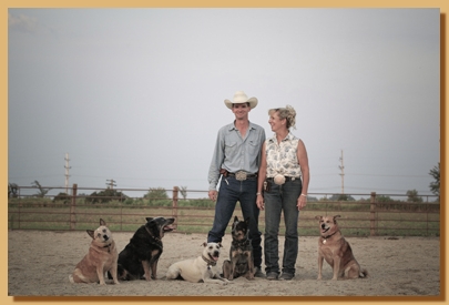 Testimonials for KKT Performance Horses